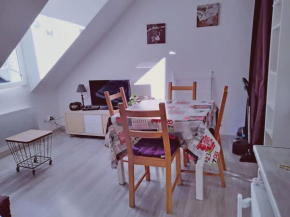 APPARTEMENT COSY HYPER CENTRE
